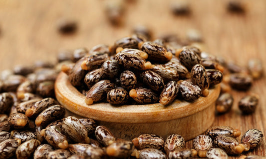 Castor Oil, Egg & Honey Hair Mask