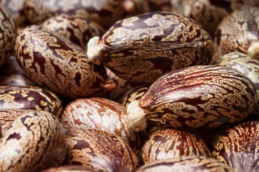 Castor and almond oil hair mask