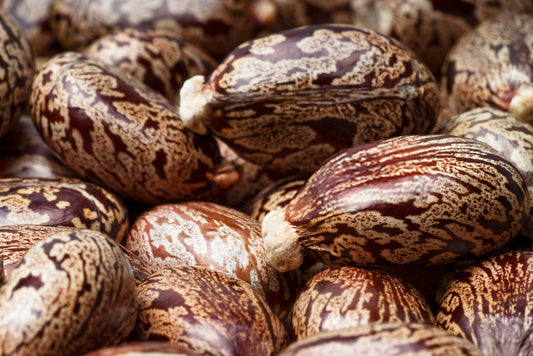Castor and almond oil hair mask