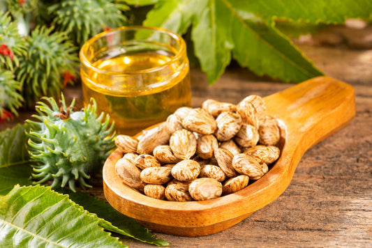 Castor, mustard and olive oil hair mask