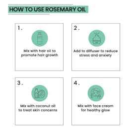 Rey Naturals Rosemary Essential Oil | Rosemary Oil for Hair Growth | Good For Skin, Body and Shiny Soft Hair | Pure & Non Greasy | Hair Fall Control & Hair Growth Oil For Women & Men - 15ml pack of 3