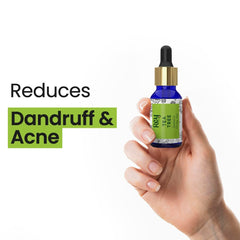 Rey Naturals Castor Oil for Skin Care, Hair Growth (Arandi Oil) | Premium Cold Pressed | Pure & Virgin Grade - 200 ML (Castor Tea tree Lavender Combo)