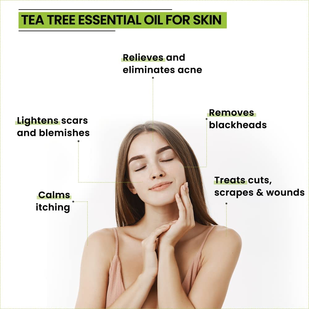Rey Naturals Castor Oil for Skin Care, Hair Growth (Arandi Oil) | Premium Cold Pressed | Pure & Virgin Grade - 200 ML (Castor Jojoba Tea Tree Combo)
