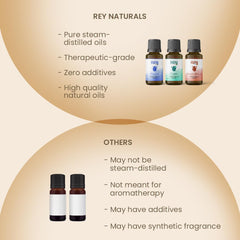 Rey Naturals 100% Natural Aroma Diffuser Essential Oil Set - Rest Focus Inspire - 3 Aromatherapy Blends for Home Fragrance | Stress relief and Headache relief (Lemon, Ylang Ylang & Lavender)