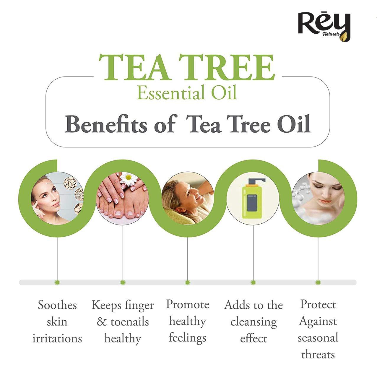 Rey Naturals Tea Tree Essential Oil for Aromatherapy - Tea Tree Essential Oil for Healthy Skin, Face, and Hair - 100% Organic Remedy for Dandruff, Acne - 30 ml (15 ml x 2) super saver combo