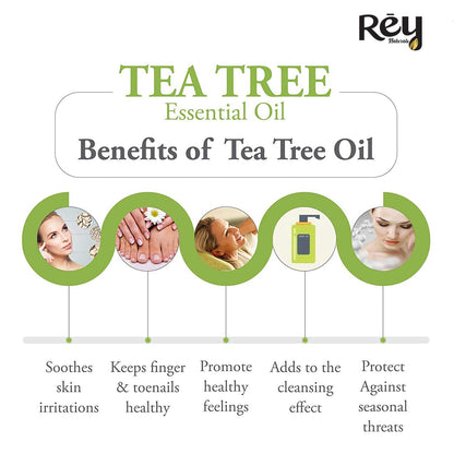 Rey Naturals 100% Pure Tea Tree Essential Oil For Hair & Scalp, Skin & Face Care - Tea Tree Oil For Dandruff, Acne, Aromatherapy & Stress | Suitable For All Skin & Hair Types - 15ml