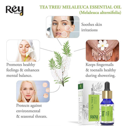 Rey Naturals Tea Tree Essential Oil for Aromatherapy - Tea Tree Essential Oil for Healthy Skin, Face, and Hair - 100% Organic Remedy for Dandruff, Acne - 30 ml (15 ml x 2) super saver combo